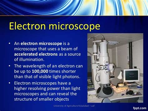 electron microscope slideshare|PPT .